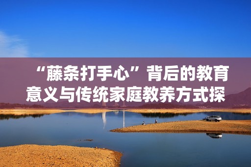 “藤条打手心”背后的教育意义与传统家庭教养方式探讨