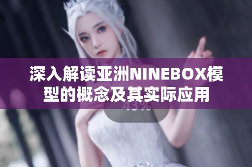 深入解读亚洲NINEBOX模型的概念及其实际应用