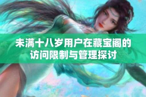 未满十八岁用户在藏宝阁的访问限制与管理探讨