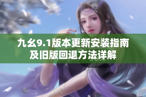 九幺9.1版本更新安装指南及旧版回退方法详解