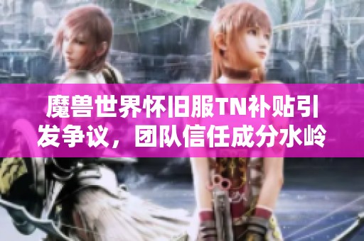 魔兽世界怀旧服TN补贴引发争议，团队信任成分水岭