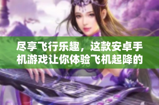 尽享飞行乐趣，这款安卓手机游戏让你体验飞机起降的刺激与挑战