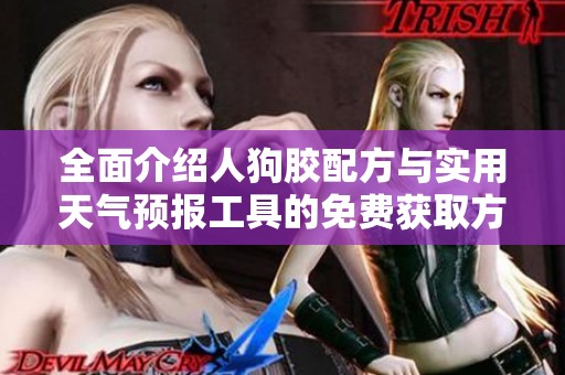 全面介绍人狗胶配方与实用天气预报工具的免费获取方法