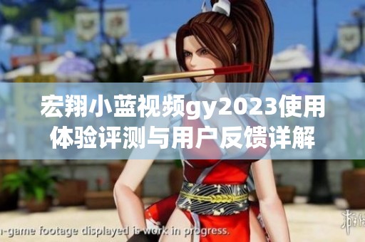 宏翔小蓝视频gy2023使用体验评测与用户反馈详解