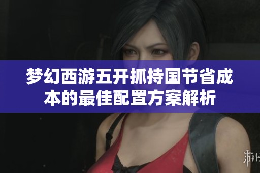 梦幻西游五开抓持国节省成本的最佳配置方案解析