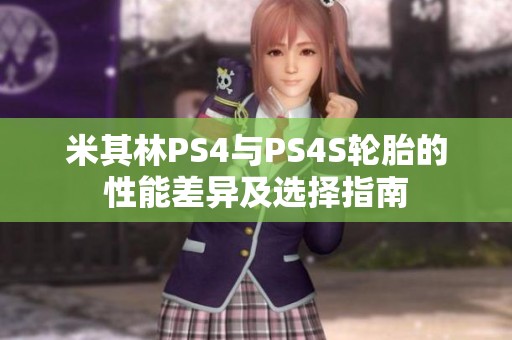 米其林PS4与PS4S轮胎的性能差异及选择指南