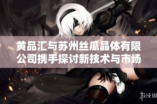 黄品汇与苏州丝瓜晶体有限公司携手探讨新技术与市场发展策略