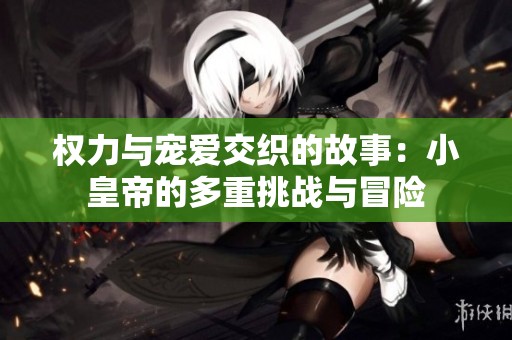 权力与宠爱交织的故事：小皇帝的多重挑战与冒险