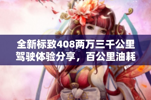 全新标致408两万三千公里驾驶体验分享，百公里油耗仅需7.3升