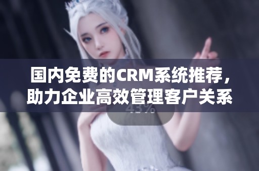 国内免费的CRM系统推荐，助力企业高效管理客户关系