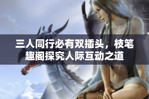 三人同行必有双插头，枝笔趣阁探究人际互动之道