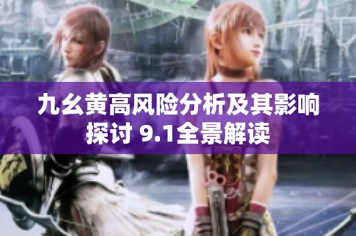 九幺黄高风险分析及其影响探讨 9.1全景解读