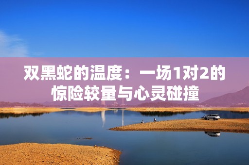 双黑蛇的温度：一场1对2的惊险较量与心灵碰撞