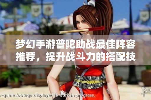 梦幻手游普陀助战最佳阵容推荐，提升战斗力的搭配技巧