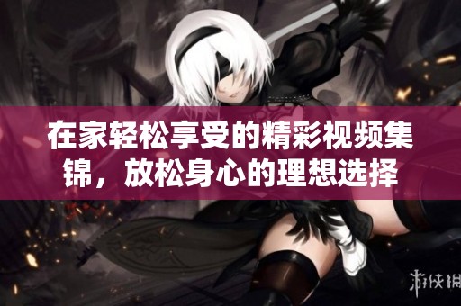 在家轻松享受的精彩视频集锦，放松身心的理想选择