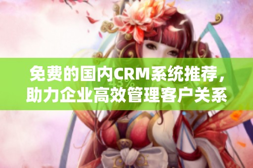 免费的国内CRM系统推荐，助力企业高效管理客户关系