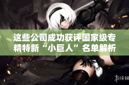 这些公司成功获评国家级专精特新“小巨人”名单解析