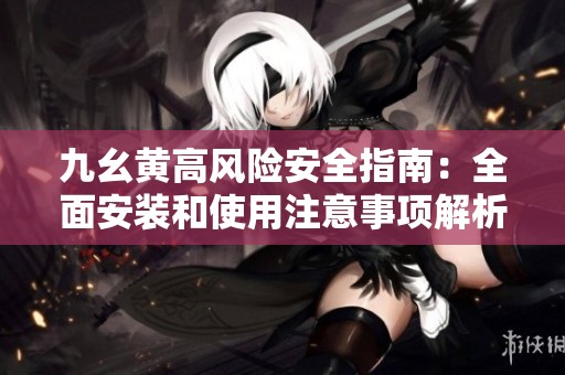 九幺黄高风险安全指南：全面安装和使用注意事项解析