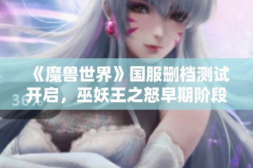 《魔兽世界》国服删档测试开启，巫妖王之怒早期阶段全新体验！