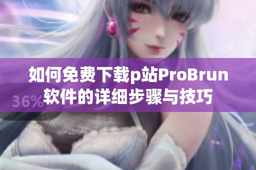 如何免费下载p站ProBrun软件的详细步骤与技巧