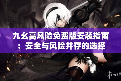 九幺高风险免费版安装指南：安全与风险并存的选择