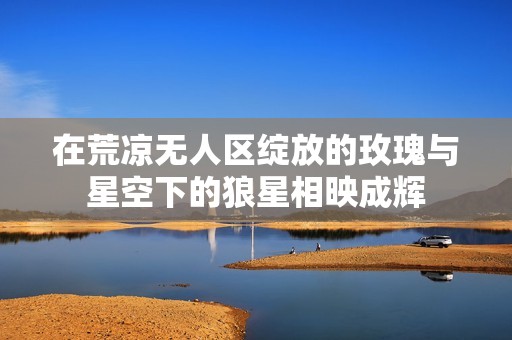 在荒凉无人区绽放的玫瑰与星空下的狼星相映成辉