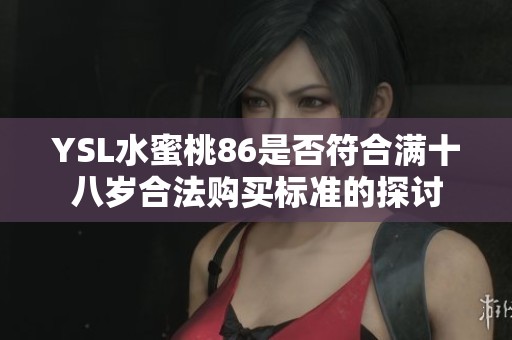 YSL水蜜桃86是否符合满十八岁合法购买标准的探讨