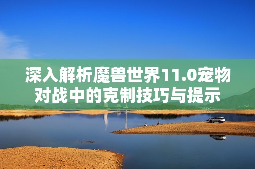 深入解析魔兽世界11.0宠物对战中的克制技巧与提示