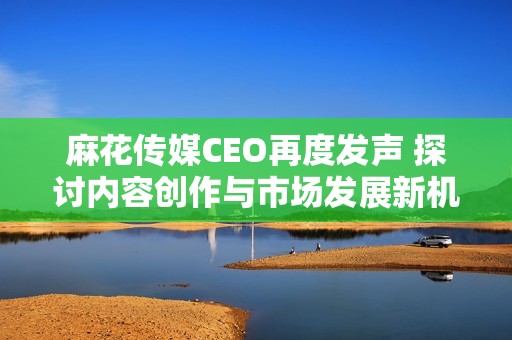 麻花传媒CEO再度发声 探讨内容创作与市场发展新机遇