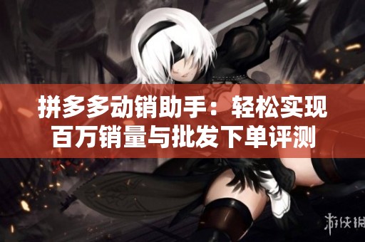 拼多多动销助手：轻松实现百万销量与批发下单评测