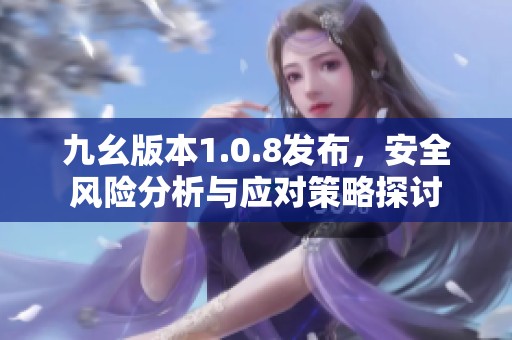 九幺版本1.0.8发布，安全风险分析与应对策略探讨