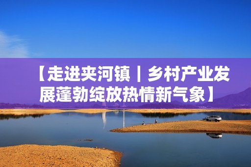 【走进夹河镇｜乡村产业发展蓬勃绽放热情新气象】