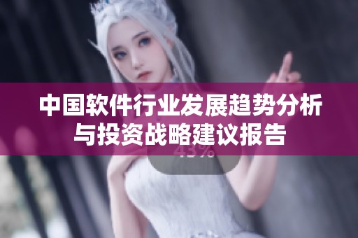 中国软件行业发展趋势分析与投资战略建议报告