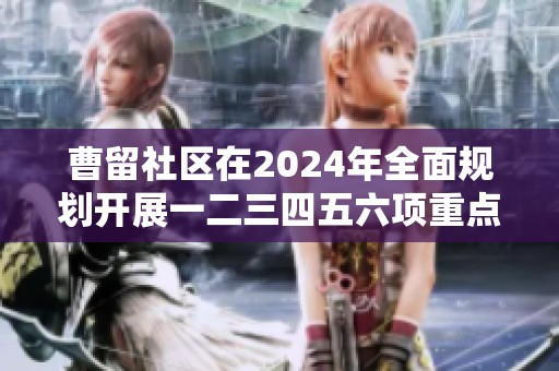 曹留社区在2024年全面规划开展一二三四五六项重点工作
