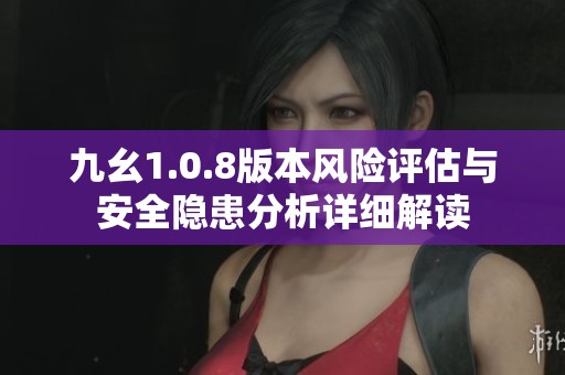 九幺1.0.8版本风险评估与安全隐患分析详细解读