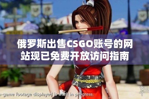 俄罗斯出售CSGO账号的网站现已免费开放访问指南