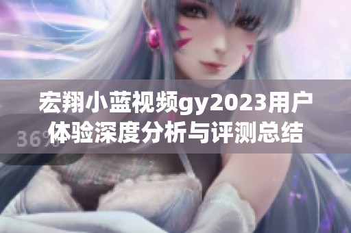 宏翔小蓝视频gy2023用户体验深度分析与评测总结