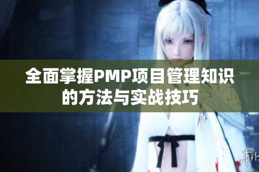 全面掌握PMP项目管理知识的方法与实战技巧