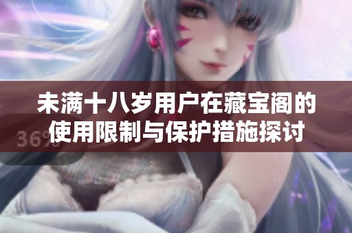 未满十八岁用户在藏宝阁的使用限制与保护措施探讨
