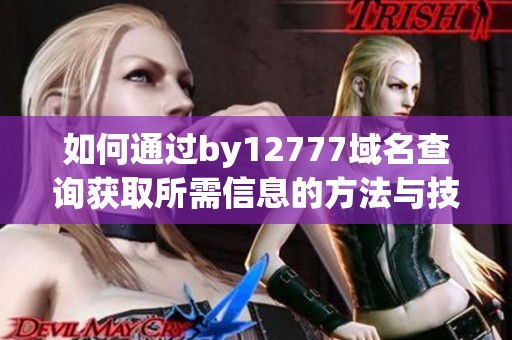 如何通过by12777域名查询获取所需信息的方法与技巧