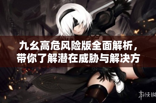 九幺高危风险版全面解析，带你了解潜在威胁与解决方案