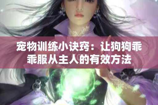 宠物训练小诀窍：让狗狗乖乖服从主人的有效方法