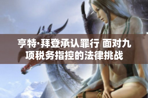 亨特·拜登承认罪行 面对九项税务指控的法律挑战