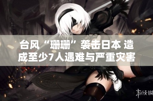 台风“珊珊”袭击日本 造成至少7人遇难与严重灾害