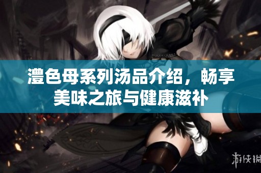 澧色母系列汤品介绍，畅享美味之旅与健康滋补