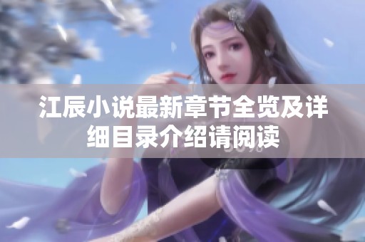 江辰小说最新章节全览及详细目录介绍请阅读