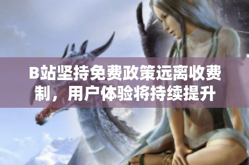 B站坚持免费政策远离收费制，用户体验将持续提升