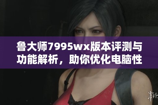 鲁大师7995wx版本评测与功能解析，助你优化电脑性能