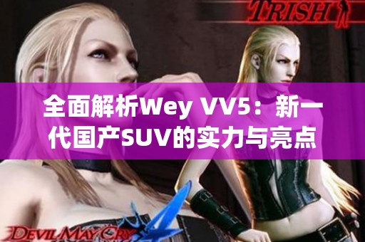 全面解析Wey VV5：新一代国产SUV的实力与亮点