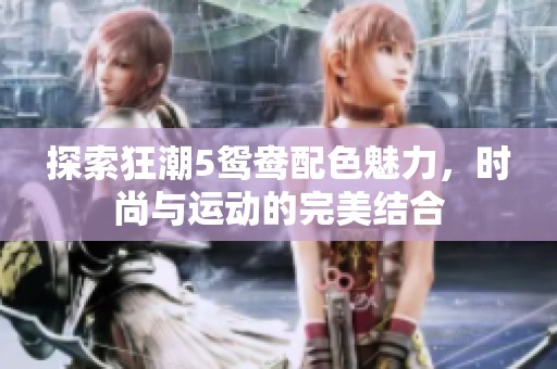 探索狂潮5鸳鸯配色魅力，时尚与运动的完美结合